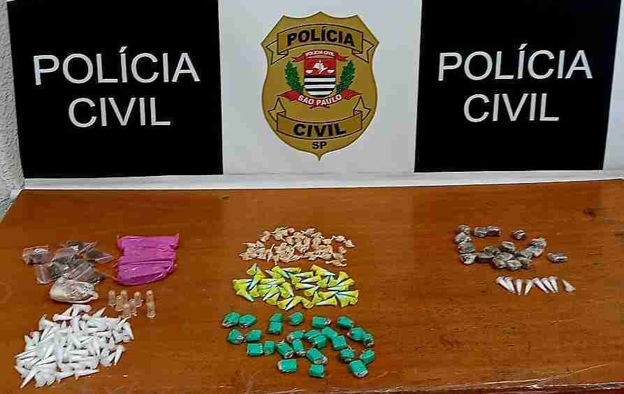 Operação da Polícia Civil de Ibaté apreendeu mais de 350 porções de drogas
