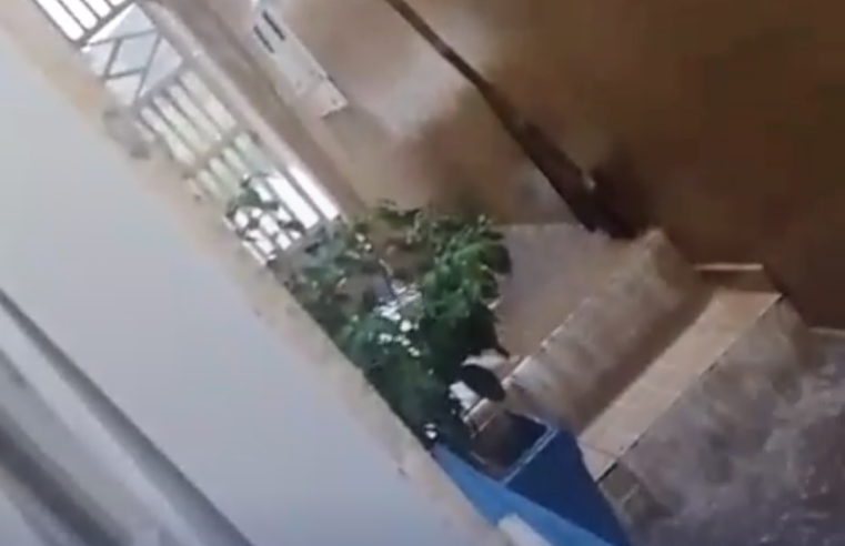 Moradora de Ibaté tem casa invadida pela água no Jardim Cruzado