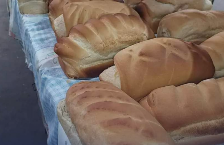 Paróquia de São Francisco de Ibaté realiza venda de pães caseiros nesta sexta-feira