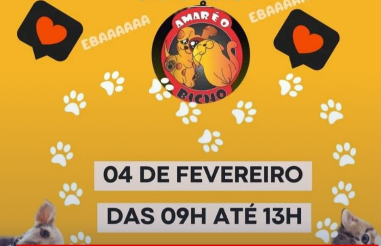 Ong Amar é o Bicho realiza feira de adoção neste domingo