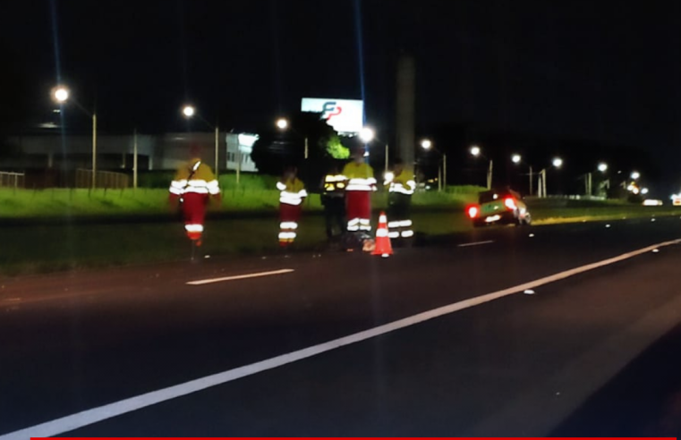 Homem morre após ser atropelado por carro na rodovia Washington Luís em Araraquara