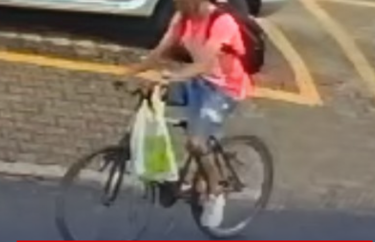 Ladrão serra corrente e furta bicicleta de jovem que estava trabalhando
