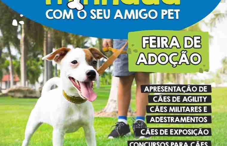 Acontece neste domingo a primeira cãominhada de Ibaté