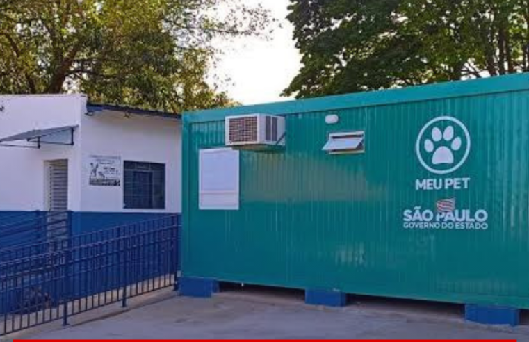 Ong denuncia caso de abuso sexual contra égua no Centro de Zoonoses de Ibaté