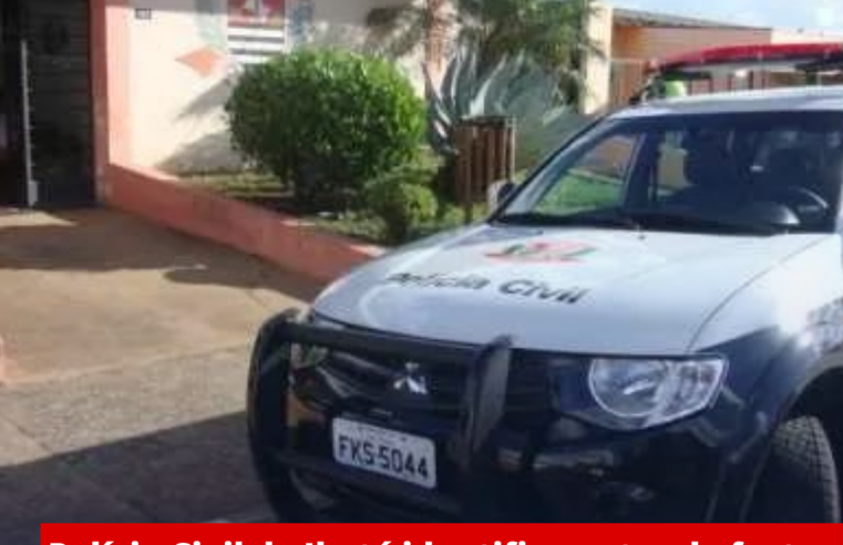 Polícia Civil de Ibaté identifica autor de furtos a residência