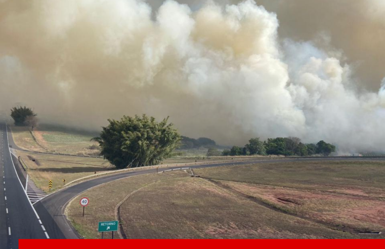 EcoNoroeste alerta sobre o aumento de focos de incêndio próximo a rodovia nos meses de estiagem
