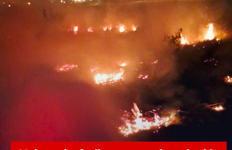 Mais um incêndio em mata é combatido em Ibaté