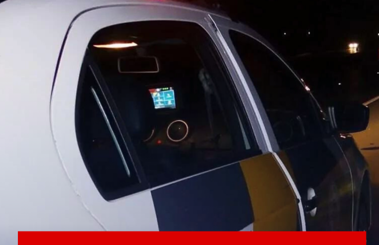 Motociclista morre após atropelar vaca na Washington Luís em Araraquara