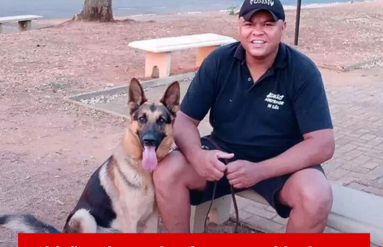 Chicão adestrador é a pessoa ideal para orientar e ensinar o seu cãozinho