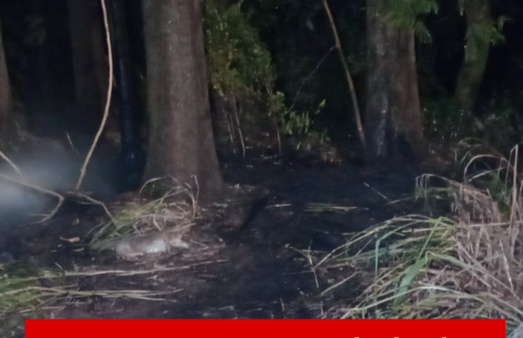 Fogo em mata no Encanto do Planalto mobiliza bombeiro civil de Ibaté