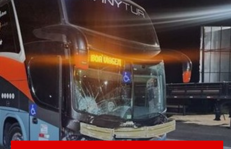 Grave acidente com vaca, ônibus e carro deixa três pessoas feridas em Ibaté
