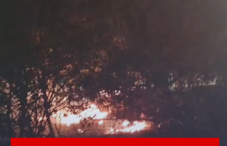Incêndio de grandes proporções atinge mata próximo ao CDHU em Ibaté