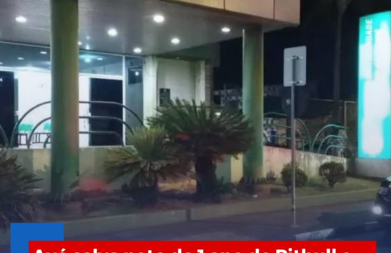 Avó salva neto de 1 ano de Pitbull e acaba atacada em Ibaté