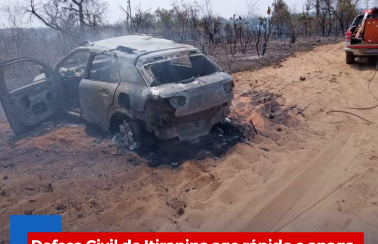Defesa Civil de Itirapina age rápido e apaga fogo em vegetação no Horto Florestal