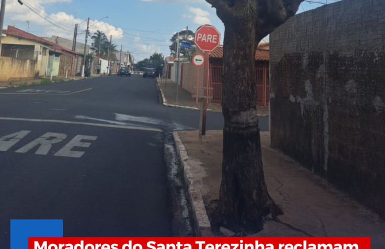 Moradores do Santa Terezinha reclamam de vazamento de água e árvore que corre risco de queda