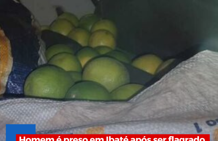 Homem é preso em Ibaté após ser flagrado furtando laranja de fazenda com o amigo
