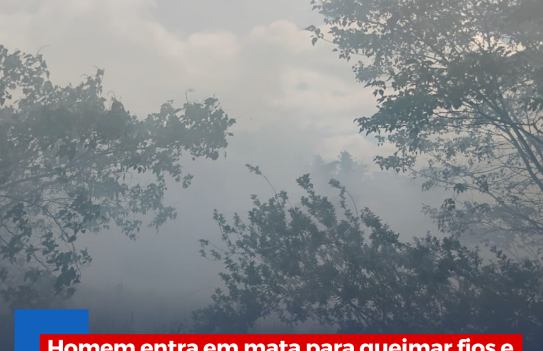 Homem entra em mata para queimar fios e causa grande incêndio em Ibaté