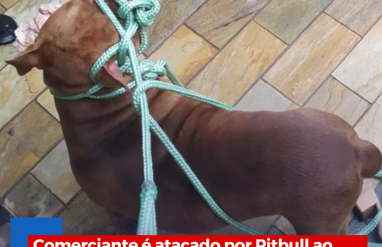 Comerciante é atacado por Pitbull ao abrir portão de garagem em Ibaté