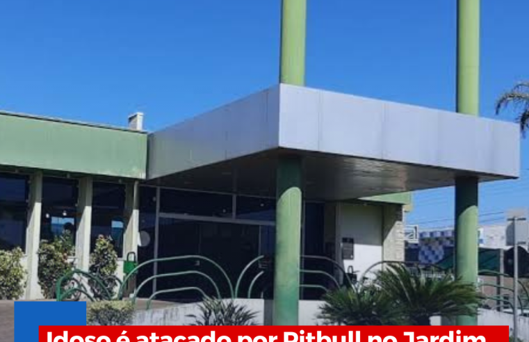 Idoso é atacado por Pitbull no Jardim Primavera em Ibaté