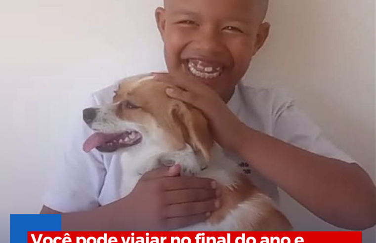 Você pode viajar no final do ano e contar com o Canil dos Brutos para cuidar do seu cãozinho