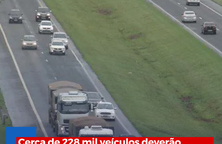 Cerca de 228 mil veículos deverão passar pela Washington Luís em Ibaté no feriado de Ano Novo