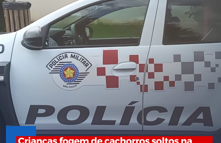 Crianças fogem de cachorros soltos na rua em Ibaté e caso vai parar na polícia