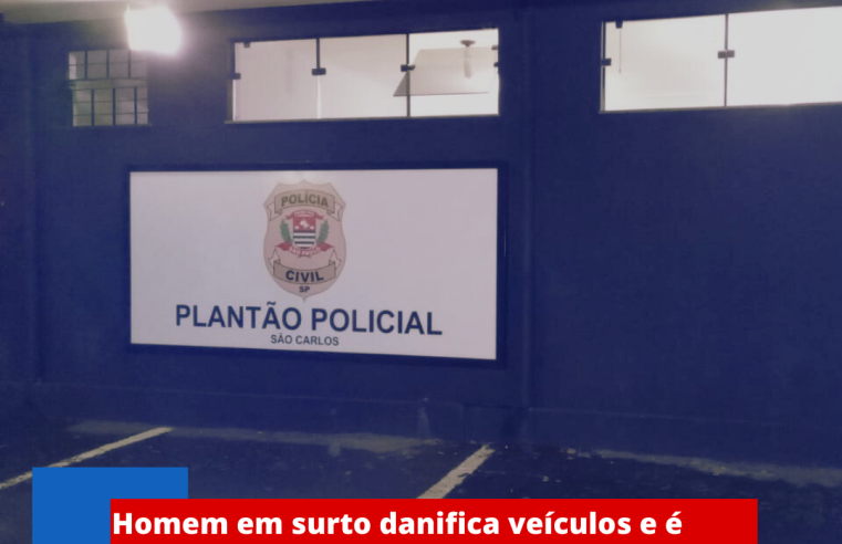Homem em surto danifica veículos e é contido pela polícia no Jardim Tangará