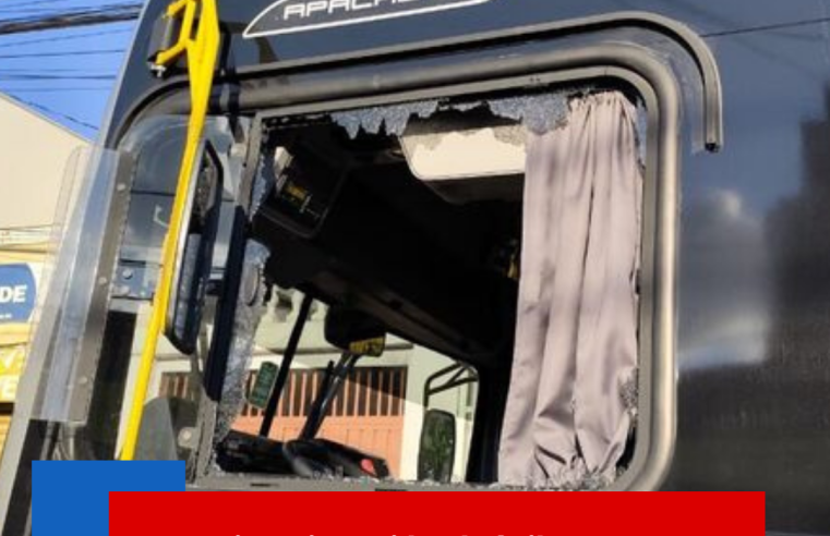 Motoqueiro atinge vidro de ônibus em discussão no trânsito em São Carlos