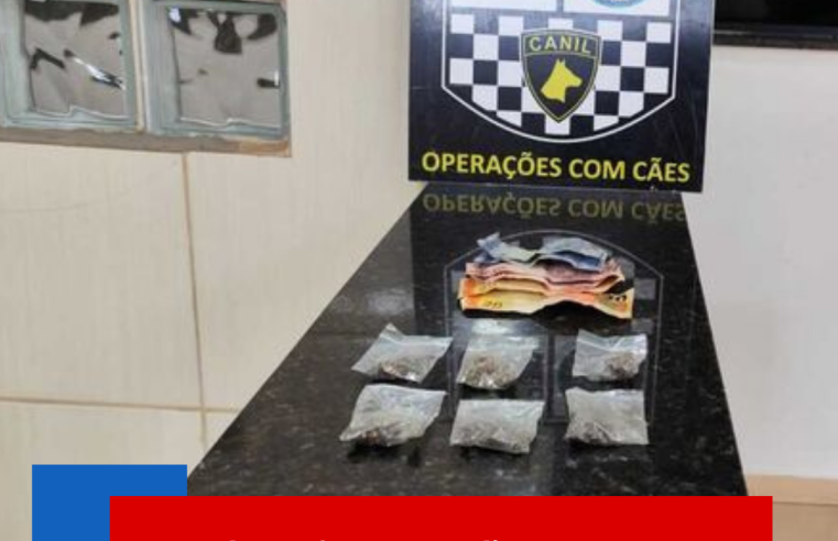 Procurada por furto escondia entorpecentes na calcinha