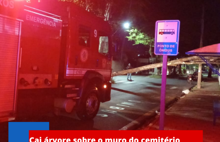 Cai árvore sobre o muro do cemitério Nossa Senhora do Carmo