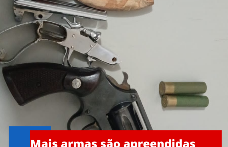 Mais armas são apreendidas pela polícia em Ibaté