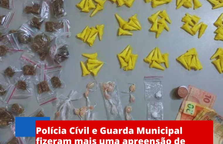 Polícia Civil e Guarda Municipal fizeram mais uma apreensão de drogas no Cruzado