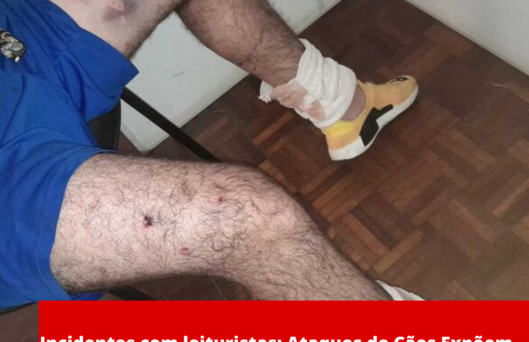 Incidentes com leituristas: Ataques de Cães Expõem Riscos e Demandam Medidas de Segurança