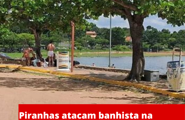Piranhas atacam banhista na Represa do Broa em Itirapina