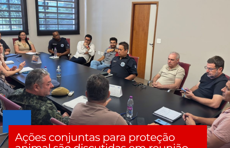 Ações conjuntas para proteção animal são discutidas em reunião na Prefeitura de Ibaté