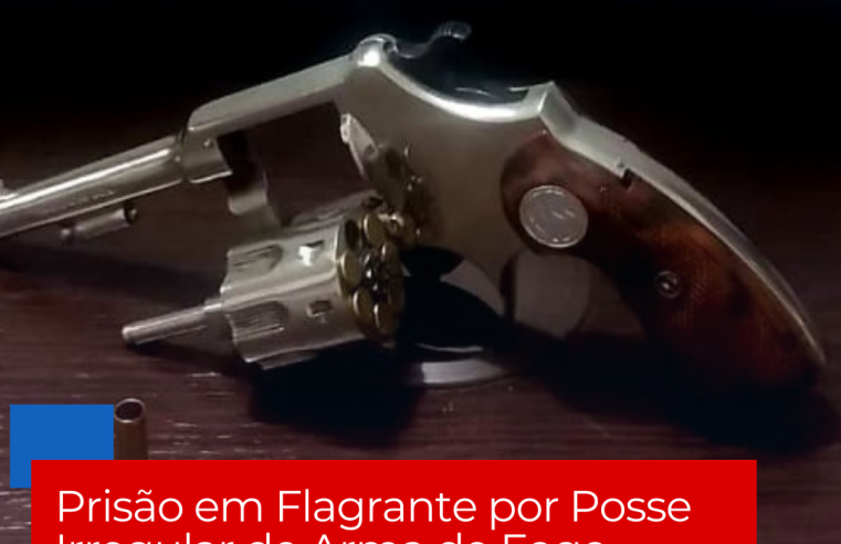 Prisão em Flagrante por Posse Irregular de Arma de Fogo