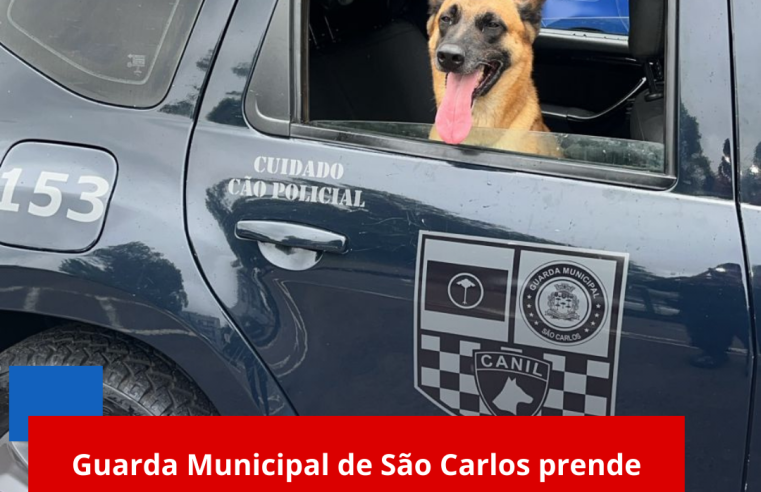 Guarda Municipal de São Carlos prende adolescente com drogas no Jacobucci