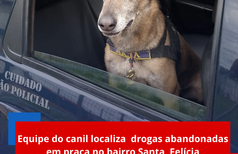 Equipe do canil localiza drogas abandonadas em praça no bairro Santa Felícia