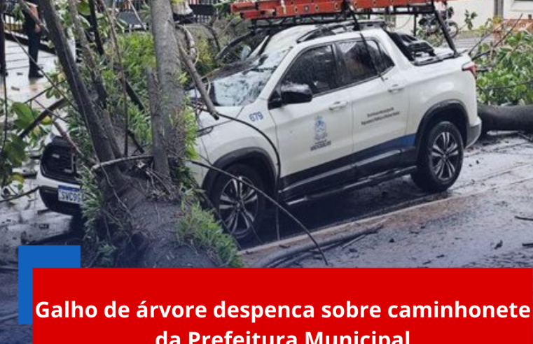 Galho de árvore despenca sobre caminhonete da Prefeitura Municipal