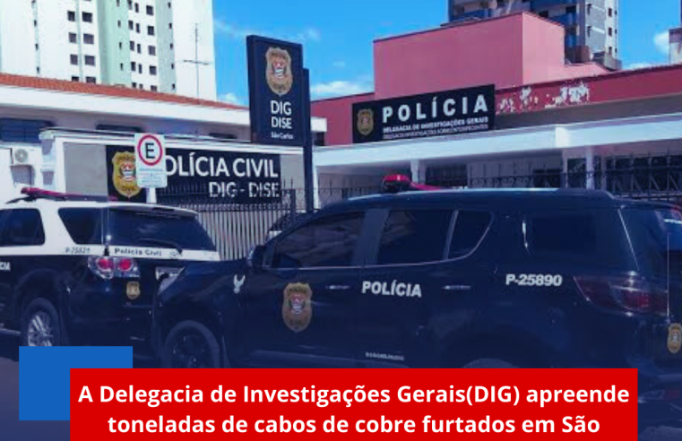 A Delegacia de Investigações Gerais(DIG) apreende toneladas de cabos de cobre furtados em São Carlos e região