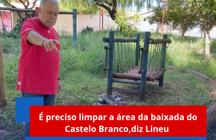 É preciso limpar a área da baixada do Castelo Branco, diz Lineu