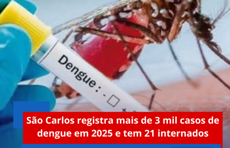 São Carlos registra mais de 3 mil casos de dengue em 2025 e tem 21 internados