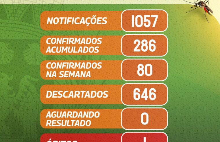Ibate registra 286 casos de dengue e uma morte em novo boletim epidemiológico