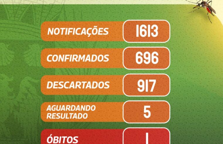 Boletim da Dengue: Ibaté registra 696 casos confirmados e um óbito
