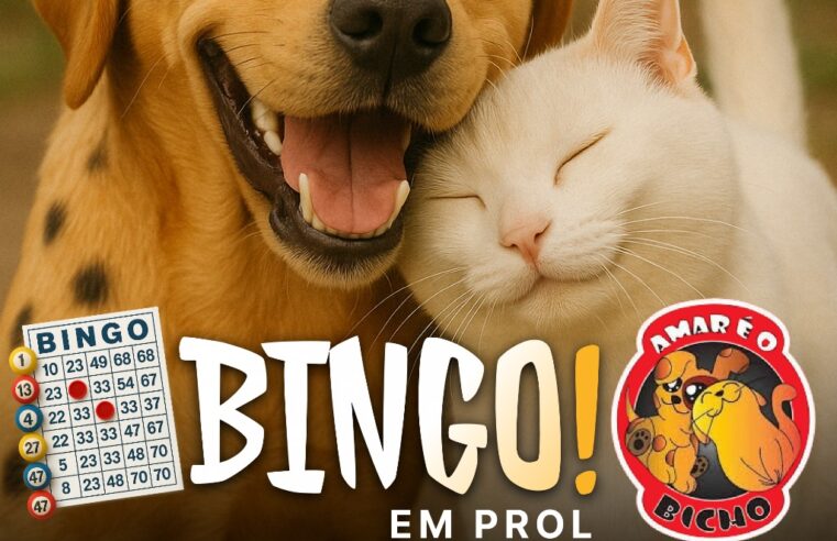 É BINGO, é diversão e é por uma boa causa!
