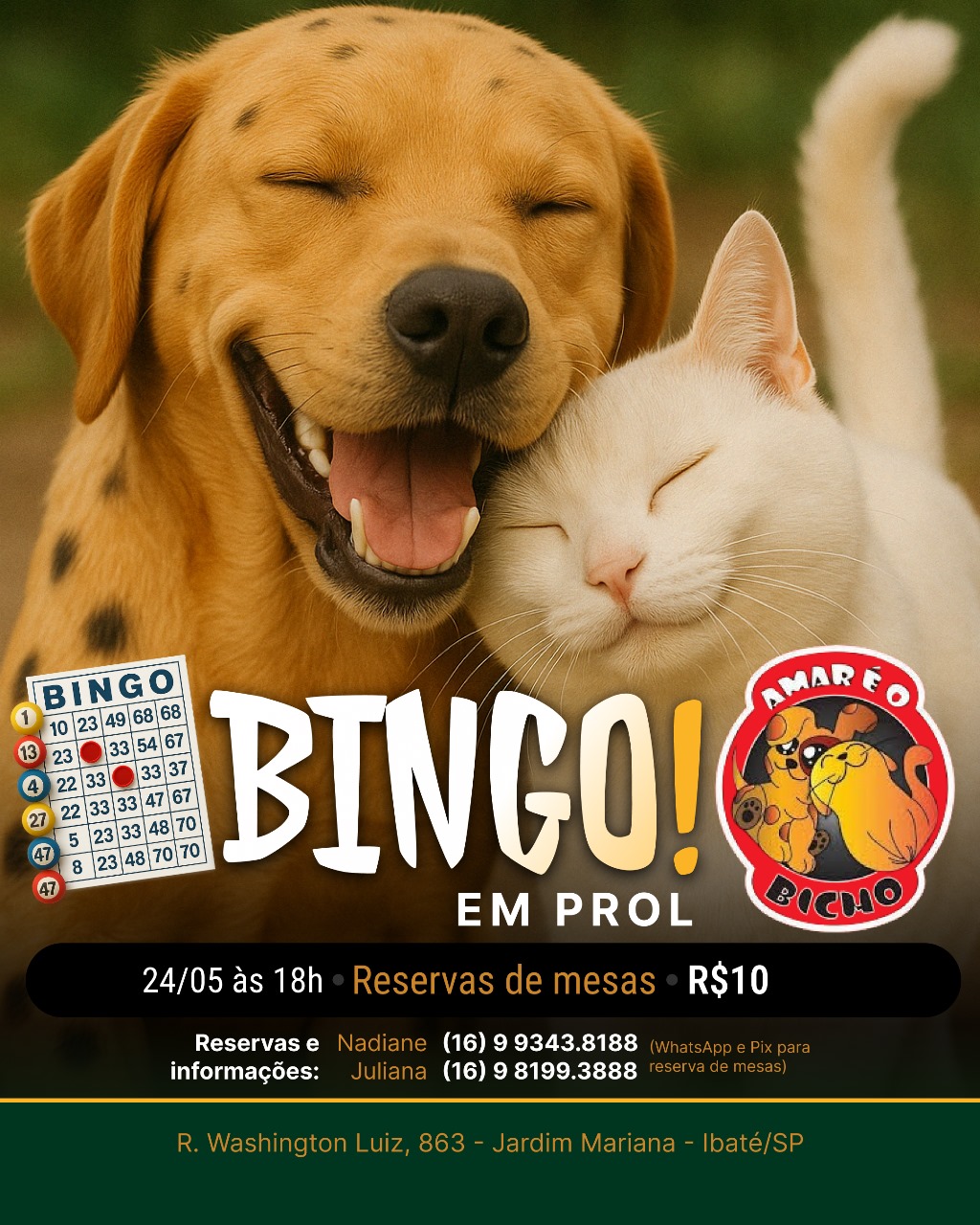 É BINGO, é diversão e é por uma boa causa!