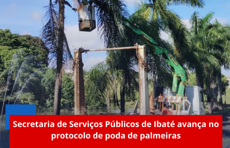 Secretaria de Serviços Públicos de Ibaté avança no protocolo de poda de palmeiras