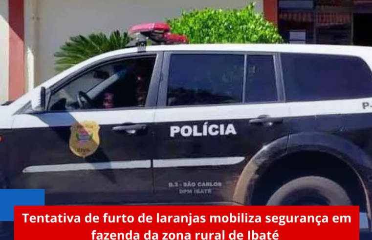 Tentativa de furto de laranjas mobiliza segurança em fazenda da zona rural de Ibaté