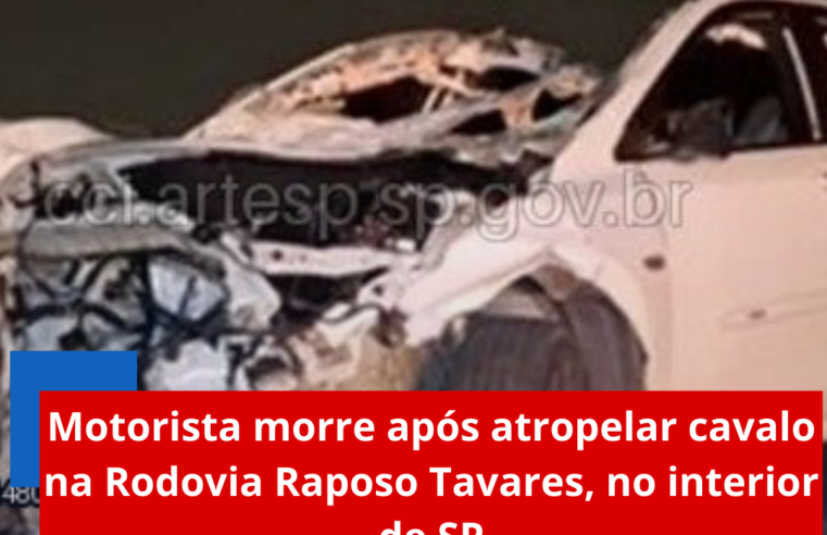 Motorista morre após atropelar cavalo na Rodovia Raposo Tavares, no interior de SP