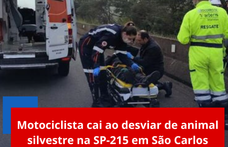 Motociclista cai ao desviar de animal silvestre na SP-215 em São Carlos